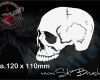 Airbrush Vorlagen Für Anfänger Angenehm Airbrush Schablone Für Schädel totenköpfe Skull S