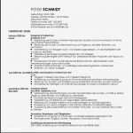 Akademischer Lebenslauf Vorlage Cool 50 Luxury Akademischer Lebenslauf Englische Probe