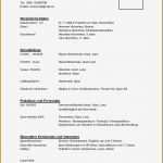 Akademischer Lebenslauf Vorlage Einzigartig 50 Luxury Akademischer Lebenslauf Englische Probe