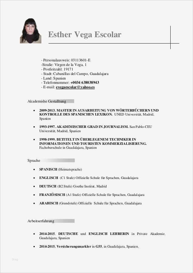Akademischer Lebenslauf Vorlage Elegant Fantastisch Akademischer Lebenslauf Bilder Bilder Für
