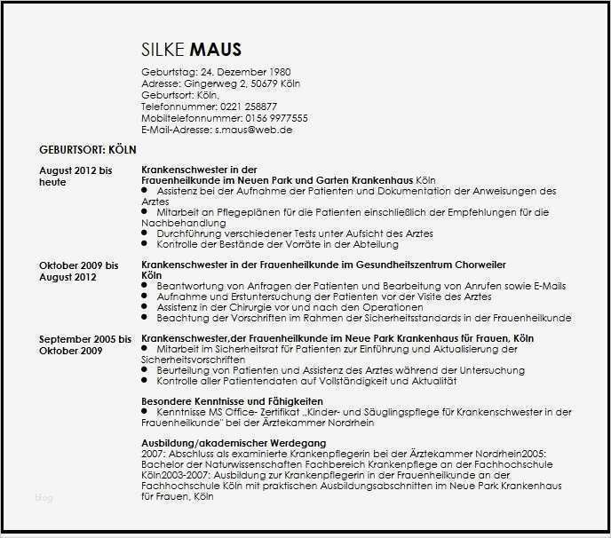 Akademischer Lebenslauf Vorlage Elegant Fantastisch Akademischer Lebenslauf Bilder Bilder Für