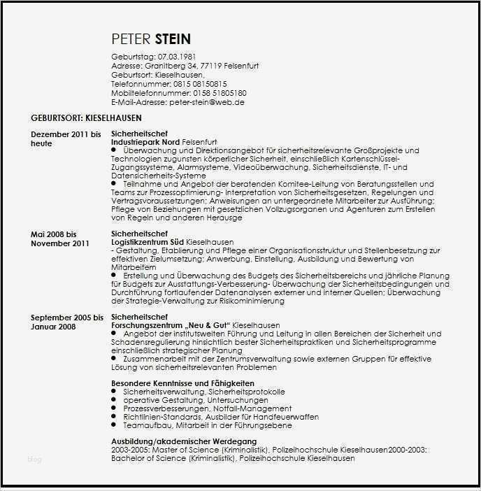 Akademischer Lebenslauf Vorlage Großartig Nett Bester Akademischer Lebenslauf Fotos Ideen