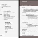 Akademischer Lebenslauf Vorlage Luxus Großzügig Akademischer Lebenslauf Ideen Bilder Für Das