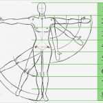 Aktmalerei Vorlagen Elegant Menschen Zeichnen Lernen Proportionsregeln