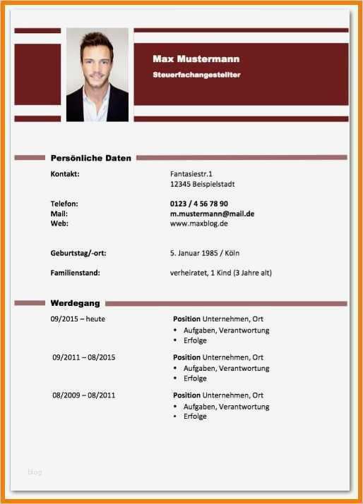 Aktueller Lebenslauf Vorlage Word Hübsch Berühmt Bestes Professionelles Lebenslauf format 2015