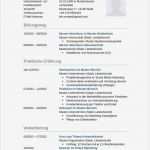 Aktueller Lebenslauf Vorlage Word Schön Klassisch Gestalteter Lebenslauf Für Bewerbung Zum