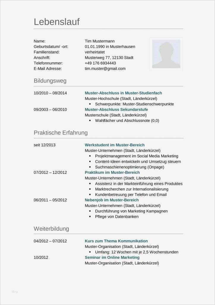 Klassisch gestalteter Lebenslauf für Bewerbung zum