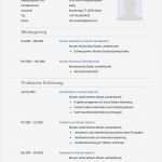 Aktueller Lebenslauf Vorlage Word Wunderbar Muster Aktueller Lebenslauf Lebenslauf Beispiel