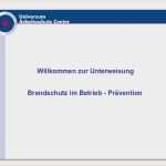 Allgemeine Sicherheitsunterweisung Vorlage Best Of Niedlich Brandschutz Vorlage Fotos Beispiel