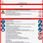 Allgemeine Sicherheitsunterweisung Vorlage Schön Betriebsanweisung Blei sofort Download