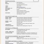 Allianz Krankenversicherung Kündigen Vorlage Erstaunlich Alle Rechnungsvorlagen Part 9