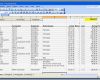 Amerikanische Rechnung Vorlage Fabelhaft 9 Einnahmen Ausgaben Excel