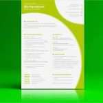 Amerikanischer Lebenslauf Vorlage Word Bewundernswert Englischer Lebenslauf Mit Anschreiben Als Download F R Word