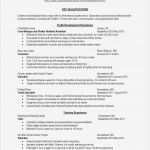 Amerikanischer Lebenslauf Vorlage Word Einzigartig Charmant Lebenslauf Vorlagen Microsoft Word Zeitgenössisch