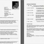 Amerikanischer Lebenslauf Vorlage Word Einzigartig Pin Amerikanischer Lebenslauf Umgekehrt Chronologisch