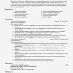 Amerikanischer Lebenslauf Vorlage Word Einzigartig Schön Vorlage Für Executive Berichte Bilder Entry Level