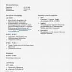 Amerikanischer Lebenslauf Vorlage Word Elegant Muster Lebenslauf Word Muster Lückenloser Lebenslauf