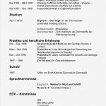 Amerikanischer Lebenslauf Vorlage Word Erstaunlich 1x1 Der Lebenslauf