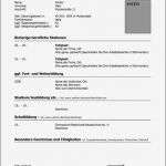 Amerikanischer Lebenslauf Vorlage Word Genial 12 Amerikanischer Lebenslauf