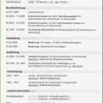 Amerikanischer Lebenslauf Vorlage Word Neu atemberaubend Beste Lebenslauf Vorlagen Zeitgenössisch