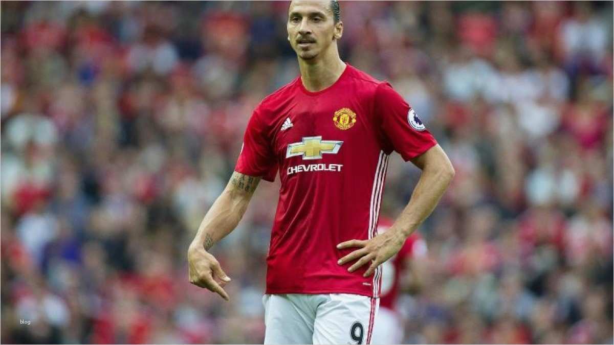 Amerikanisches Journal Vorlage Kostenlos Cool Amerikanische Liga Eine Option Ibrahimovic Liebäugelt Mit