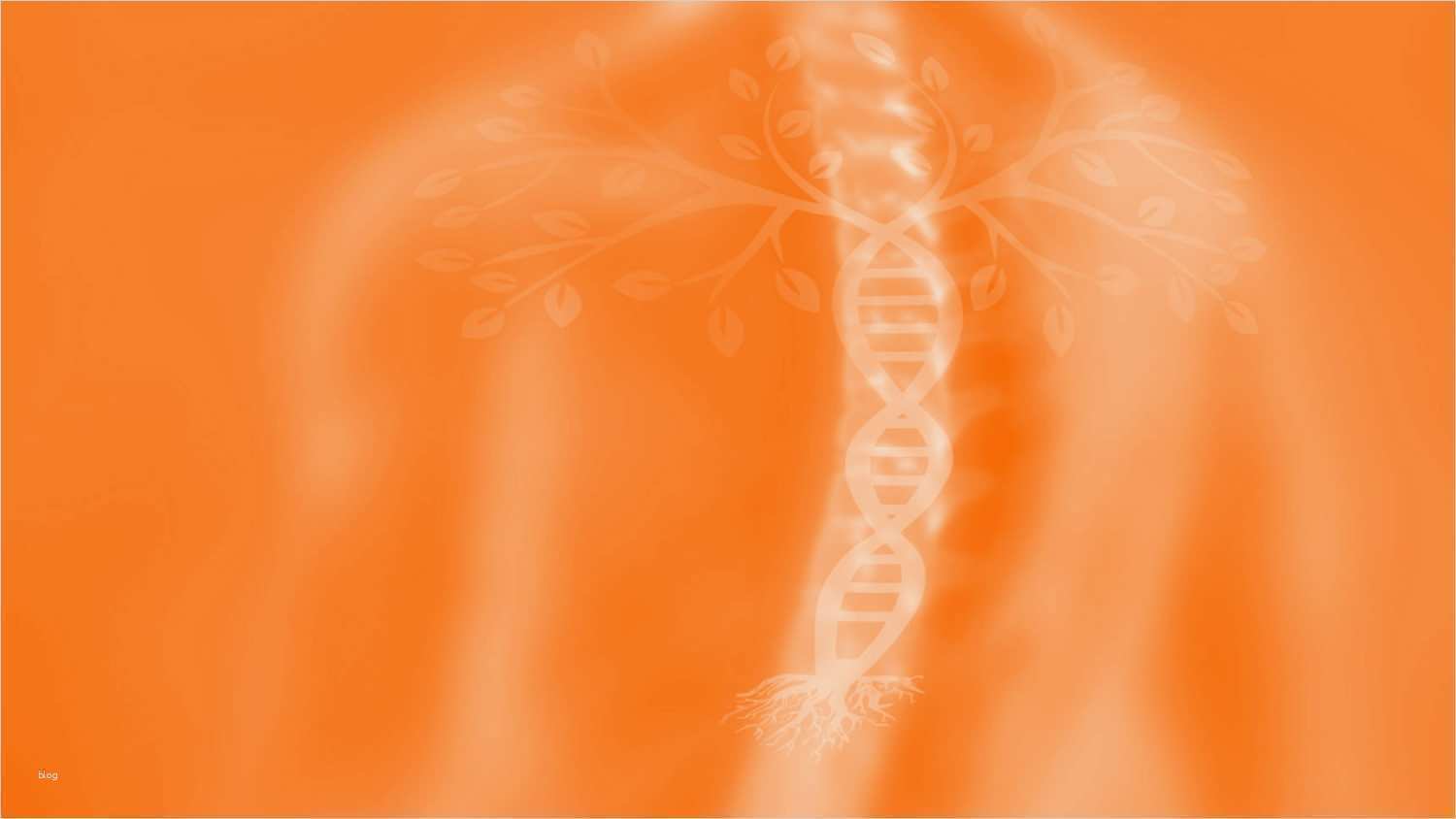 Amerikanisches Journal Vorlage Kostenlos Elegant Einladung Zum Infoabend – Kwr24 American Chiropractic