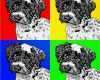 Andy Warhol Vorlage Elegant Hunde Pop Art Hundeportraits Im andy Warhol Stil Hunde