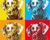 Andy Warhol Vorlage Erstaunlich Hunde Pop Art Hundeportraits Im andy Warhol Stil Hunde