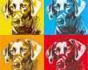 Andy Warhol Vorlage Erstaunlich Hunde Pop Art Hundeportraits Im andy Warhol Stil Hunde