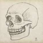 Anime Zeichnungen Vorlagen Für Anfänger Genial Artworks² Alles Was Kein Star Wars ist Seite 2