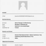 Anonymer Lebenslauf Vorlage Beste Anonymer Lebenslauf – Karriere Blog Perspektivwechsel Dr