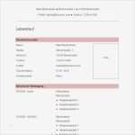 Anonymer Lebenslauf Vorlage Gut Vorlage 42 Tabellarischer Lebenslauf