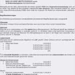 Antrag Elternzeit Vorlage Luxus 15 Muster Antrag Elternzeit