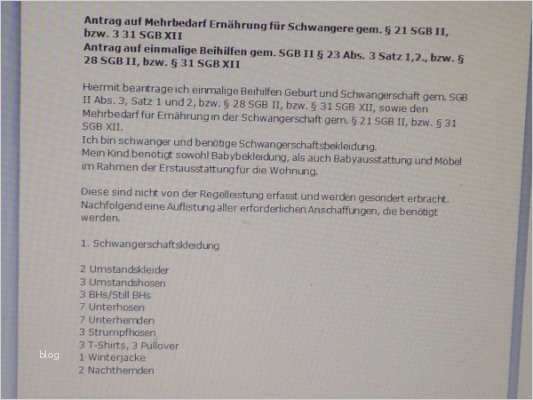 Antrag Erstausstattung Baby Jobcenter Vorlage Angenehm Antrag Bei Der Arge Für Erstausstattung Juni 2015