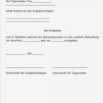 Anwalt Vollmacht Widerrufen Vorlage Inspiration Tagesmuttervertrag Muster Vom Anwalt Zum Download