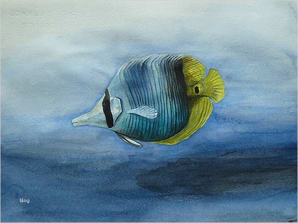 Aquarell Malen Vorlagen Angenehm Tiere Malen & Zeichnen Lernen