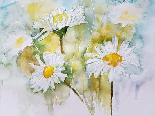 Aquarell Malen Vorlagen Cool Aquarellbild Gänseblümchen Abdecken Mit Maskierstift