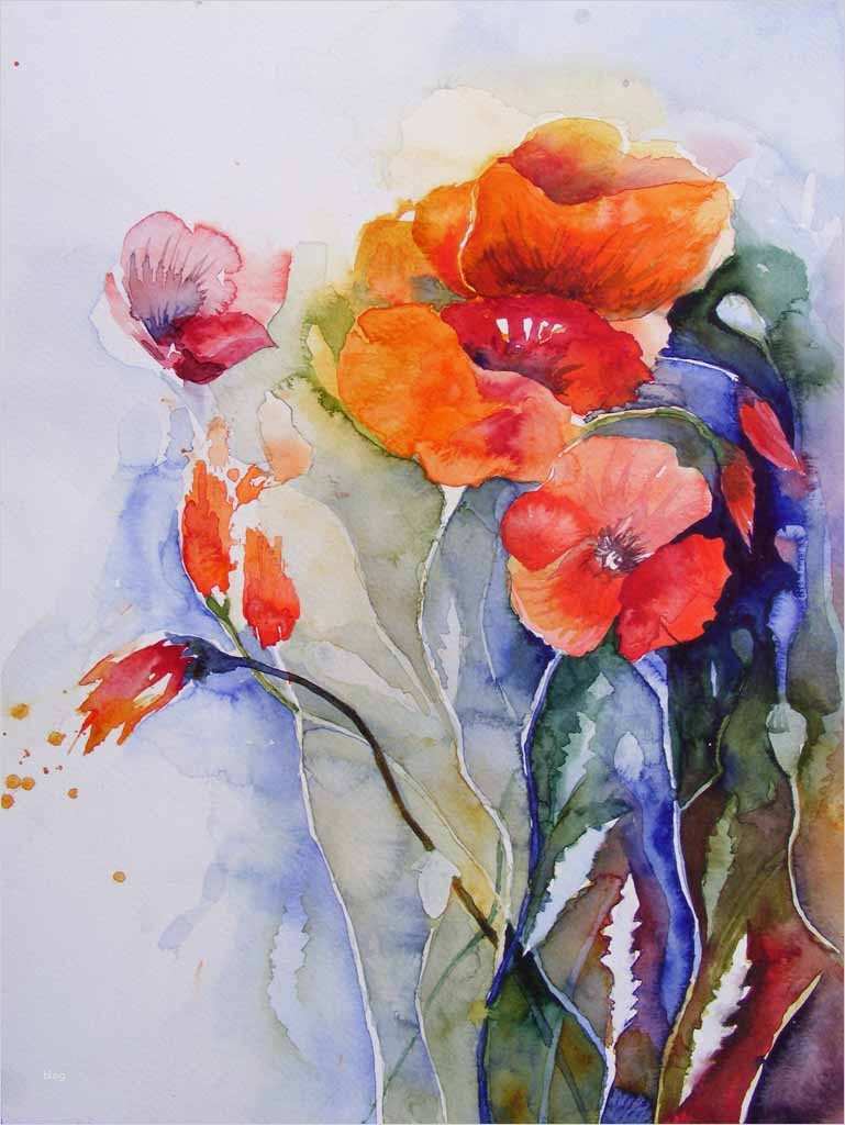 Mohn Aquarelle