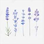 Aquarell Malen Vorlagen Erstaunlich Die Besten 25 Blume Aquarell Ideen Auf Pinterest