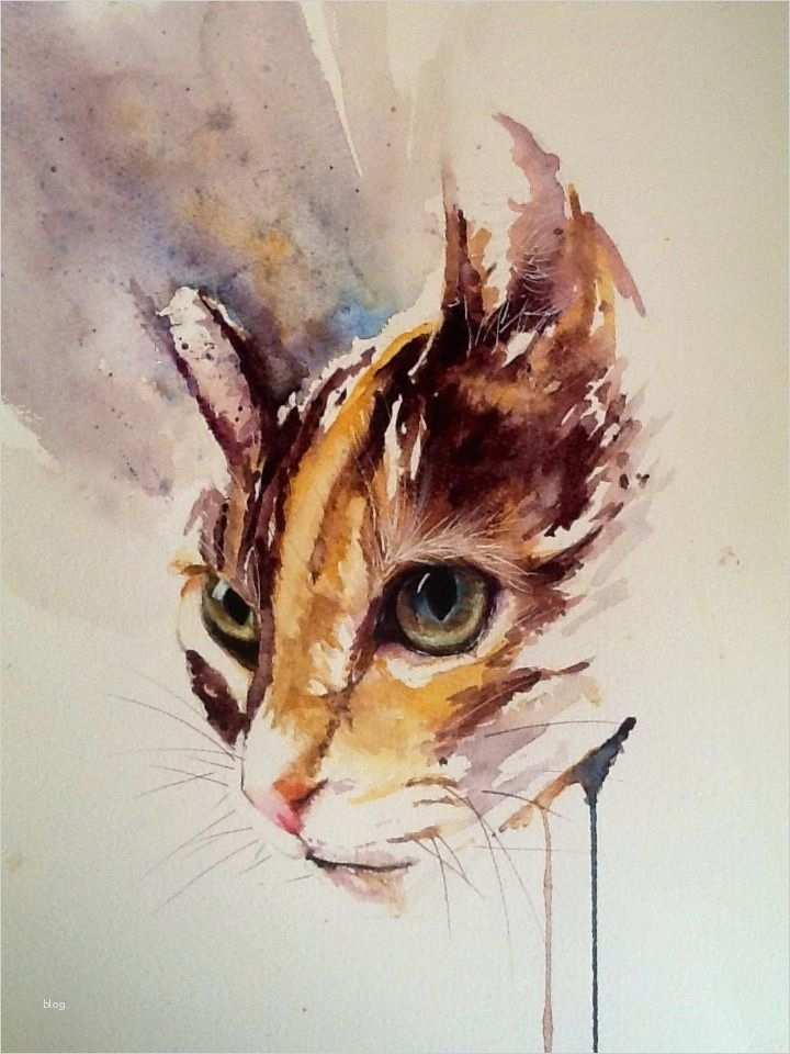 Aquarell Malen Vorlagen Genial Die Katze Sarah Stokes Kunst Pinterest