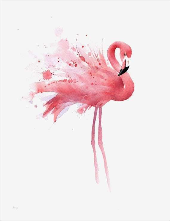 Aquarell Vorlagen Zum Ausdrucken Cool Flamingo Kunstdruck Wand Dekor Aquarell