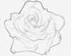 Aquarell Vorlagen Zum Ausdrucken Elegant Blumen Rosenblüte Tätowiervorlage