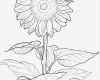 Aquarell Vorlagen Zum Ausdrucken Großartig Kolorowanka Słonecznik