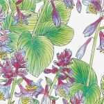 Aquarell Vorlagen Zum Ausdrucken Wunderbar Malvorlagen Blumenmotive