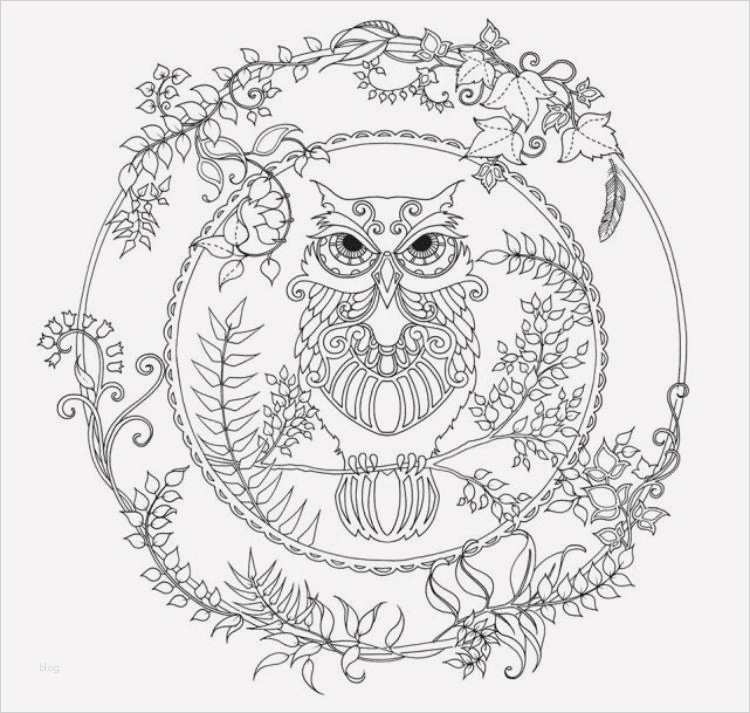 Mandala enfant 25 idées originales à emprunter et à imprimer