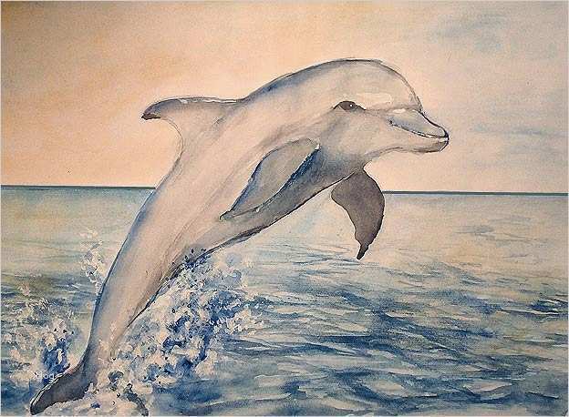 Aquarellbilder Vorlagen Einzigartig Dolphin S Jump Bild Kunst Von Alfimoor Bei Kunstnet