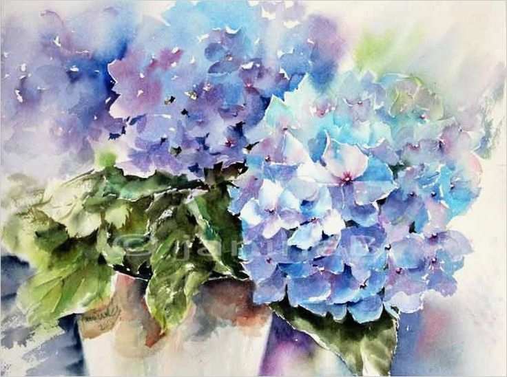Aquarellmalerei Landschaften Vorlagen Bewundernswert Blaue Hortensie Aquarell Auf Arches 30x40cm