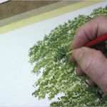 Aquarellmalerei Landschaften Vorlagen Hübsch Einen Baum Malen Mit Aquarellfarben John Fisher Wie Malt