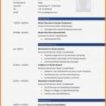 Arbeitsagentur Lebenslauf Vorlage Best Of Großartig Lebenslauf Für Bund Jobs Vorlagen Bilder