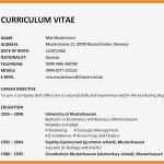 Arbeitsagentur Lebenslauf Vorlage Großartig 7 Curriculum Vitae Vorlage